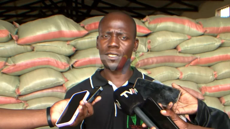 Jovem empreendedor instala fábrica de processamento de milho em Chiúre e cria 22 empregos