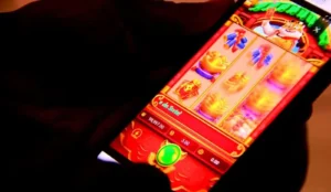 Promessas de “Entrada Gratuita” Levantam Suspeitas de Burla em Tete