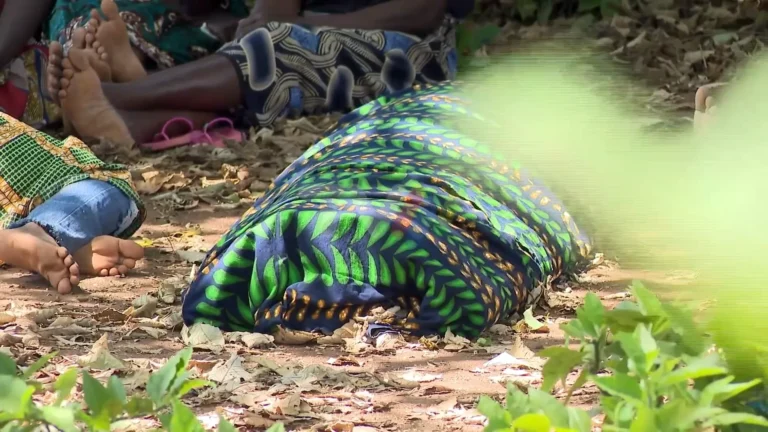 Ataque de crocodilo no rio Licungo provoca morte