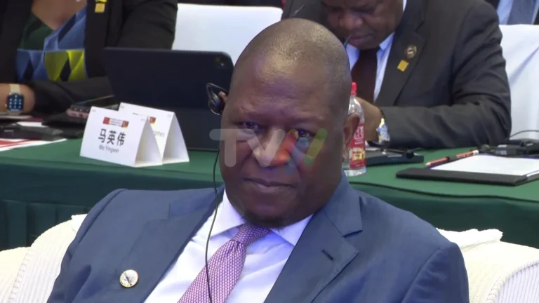 CTA defende parcerias entre Moçambique e China