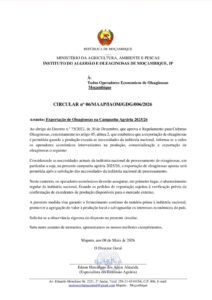 Governo condiciona exportação de Oleaginosas para proteger indústria nacional em Moçambique
