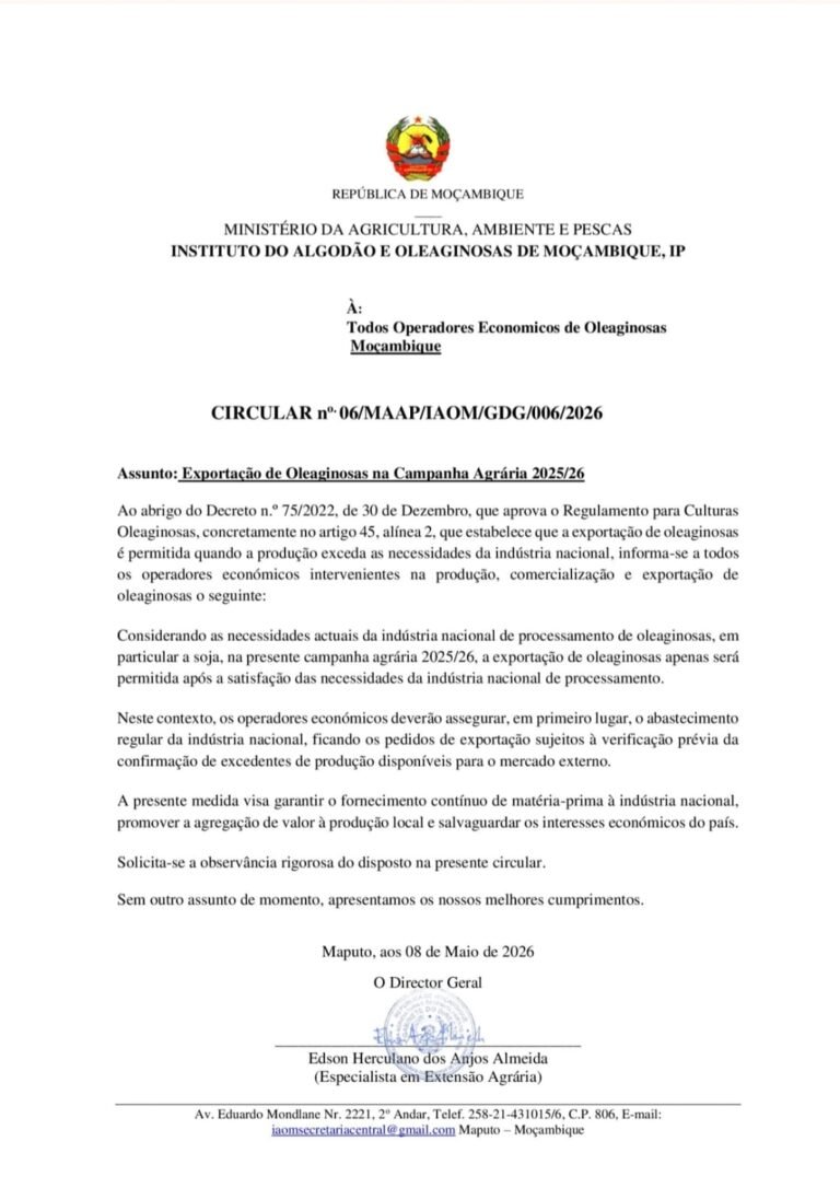 Governo condiciona exportação de Oleaginosas para proteger indústria nacional em Moçambique