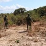 Magistrados exigem reforço de segurança face ao terrorismo em Cabo Delgado