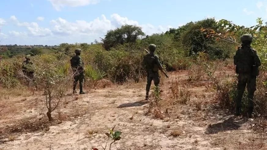 Magistrados exigem reforço de segurança face ao terrorismo em Cabo Delgado