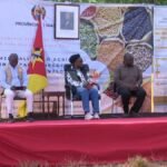 produção agrícola em Moçambique