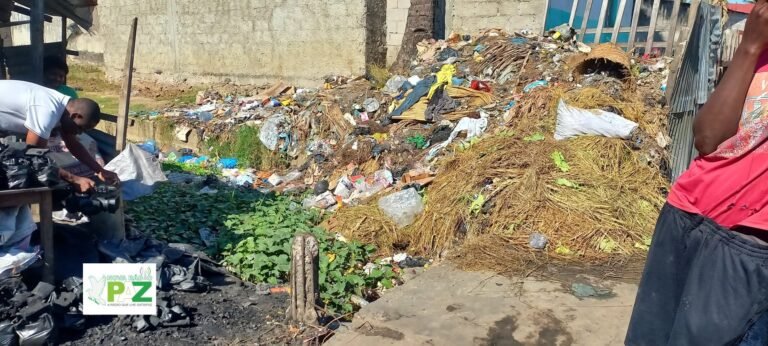 Lixo, água estagnada e lama agravam condições no mercado das bananeiras em Quelimane