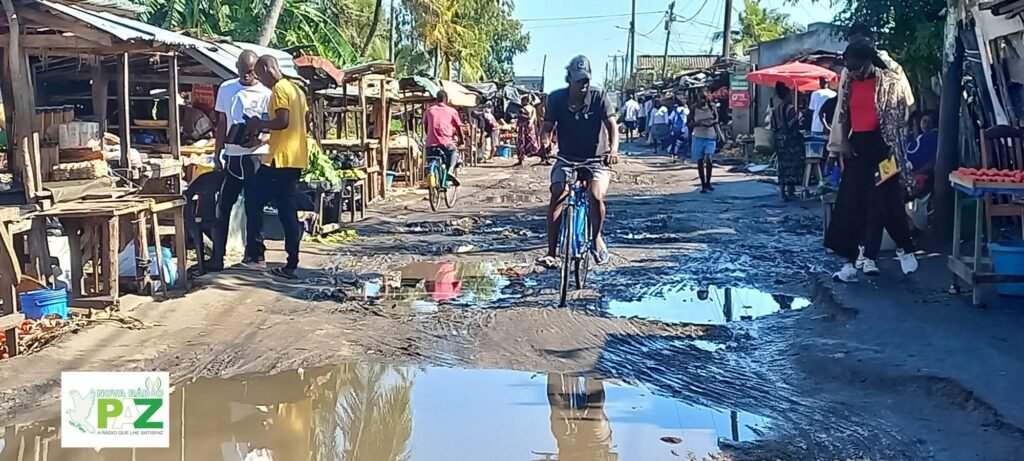 Lixo, água estagnada e lama agravam condições no mercado das bananeiras em Quelimane 2 720342092 1597305185730630 991735907868348812 n