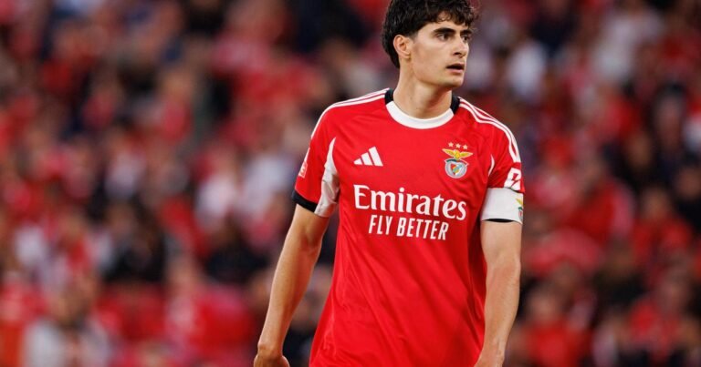 Adeus Benfica: António Silva viaja esta sexta-feira para Inglaterra