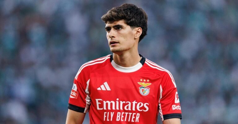 Benfica, Bournemouth e António Silva têm questão pendente: entendimento ou nada!