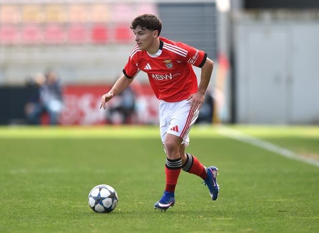 Mercado Benfica: concorrência por Ba é cada vez mais forte