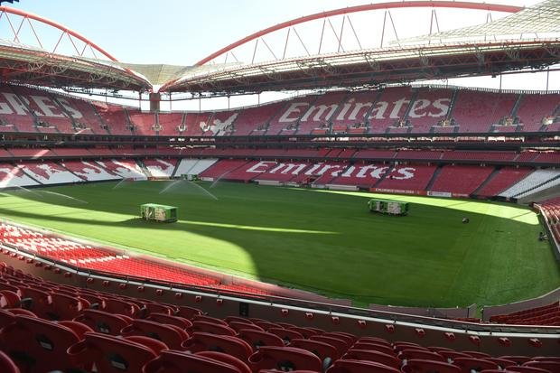 As primeiras imagens do novo relvado do Benfica