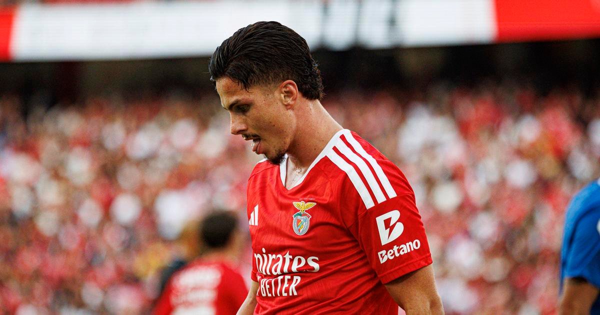 Ivanovic: Benfica pode fazer negócio de €25 milhões com o Hull City