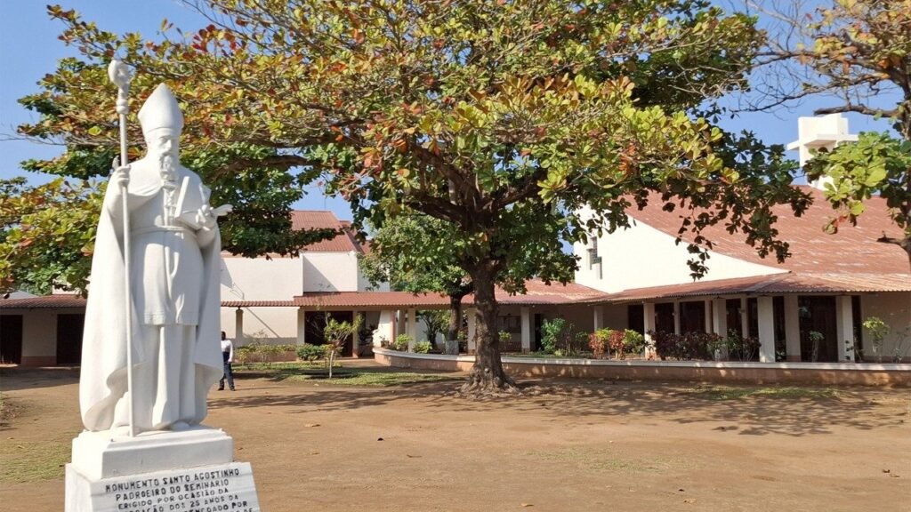 Viagem missionária a Moçambique e Angola - Vatican News
