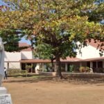 Viagem missionária a Moçambique e Angola - Vatican News
